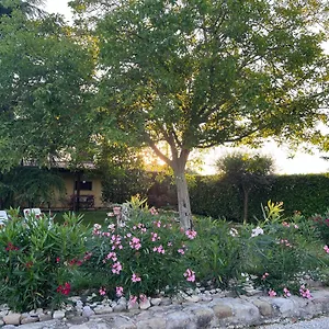 Assisi, La Noce Assisi